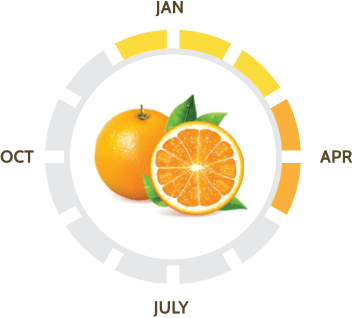 Suntreat Featured Cara Cara Oranges