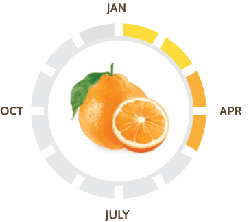 Suntreat Featured Sumo Oranges